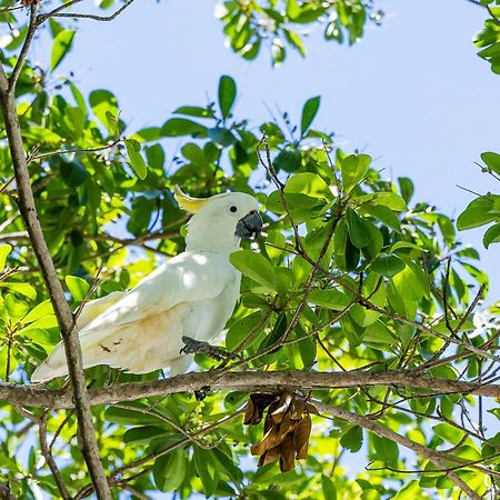 Kipara Tropical Rainforest Retreat Эйрли-Бич Экстерьер фото